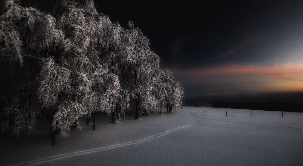 Фотогалерея Sigma - зима 2015 в Германии